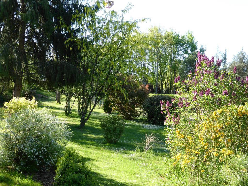 Studio De Charme Abelia Guest House Saint-Crepin-et-Carlucet Exterior photo